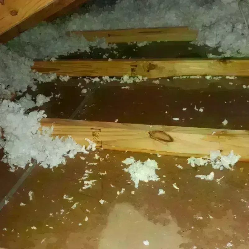 Attic Water Damage in Ivins, UT